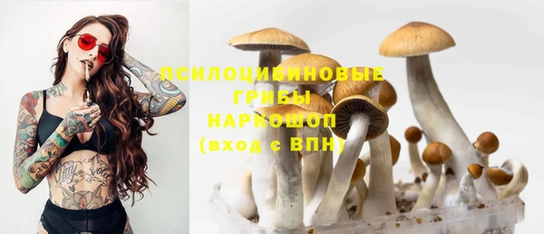 молекула духа Верхнеуральск