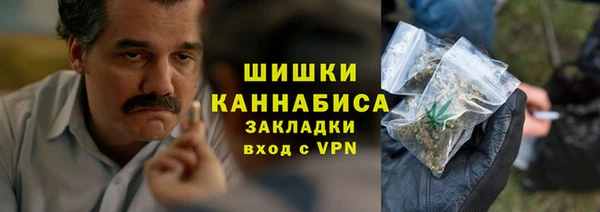 крисы Верхний Тагил